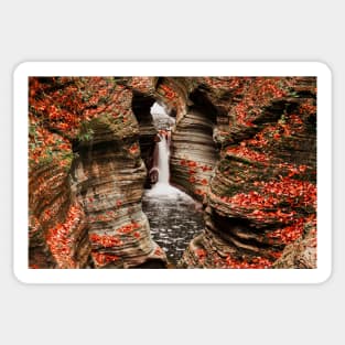 The Fall Colours Of Watkins Glen © Sticker